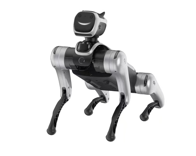 educational quadruped robot