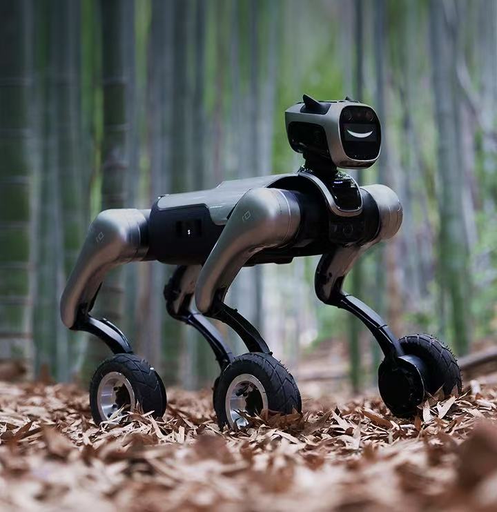 educational quadruped robot