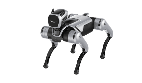 educational quadruped robot